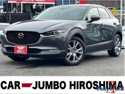 CX-30