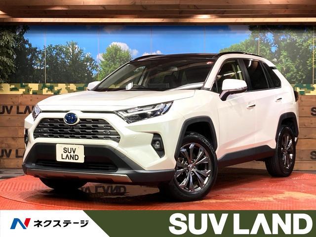 TOYOTA RAV4 AXAH54 2022