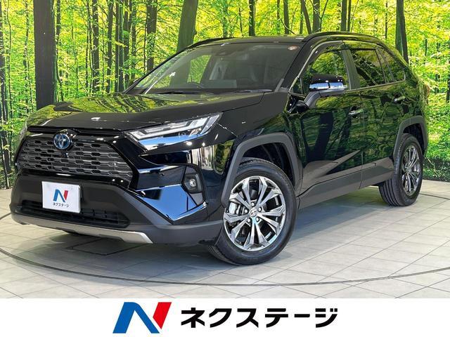 TOYOTA RAV4 AXAH54 2024