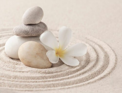 Redefining Wellness